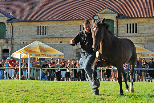 Velká cena města Hluboká nad Vltavou 2011